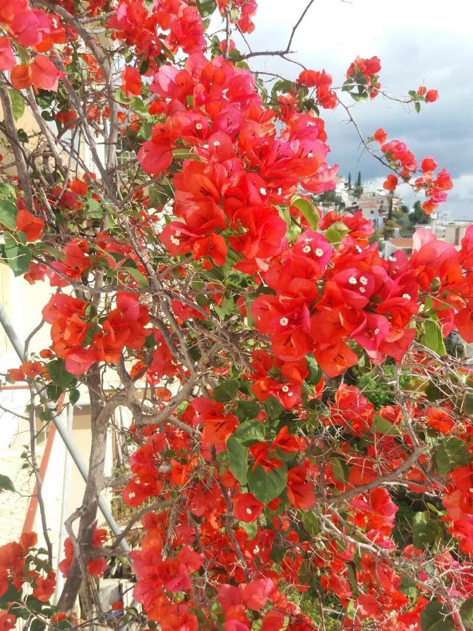 Poros Town Apartment In Poros מראה חיצוני תמונה