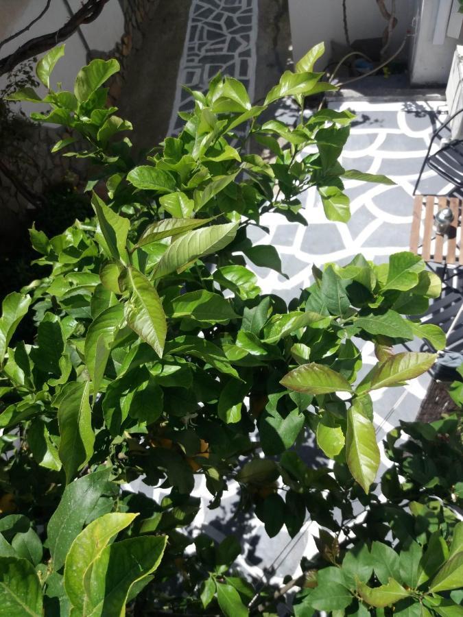 Poros Town Apartment In Poros מראה חיצוני תמונה